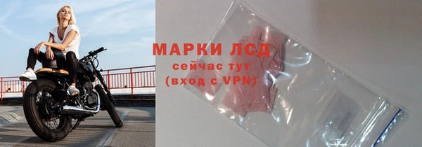 spice Богданович