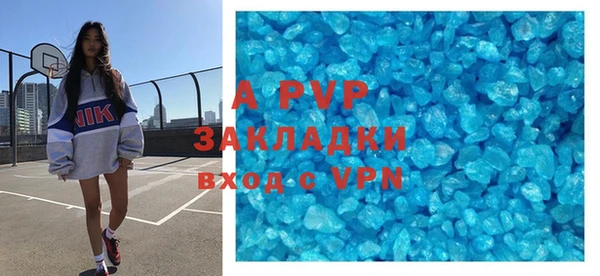 spice Богданович
