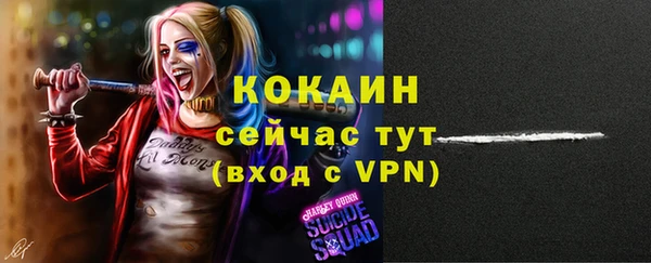 spice Богданович