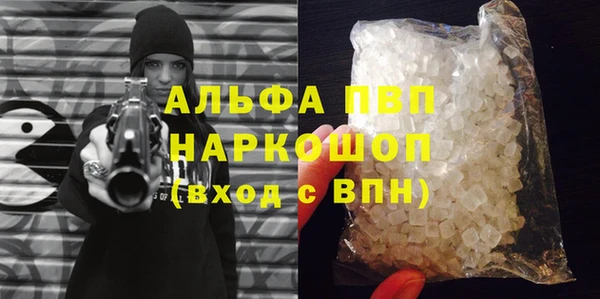 spice Богданович