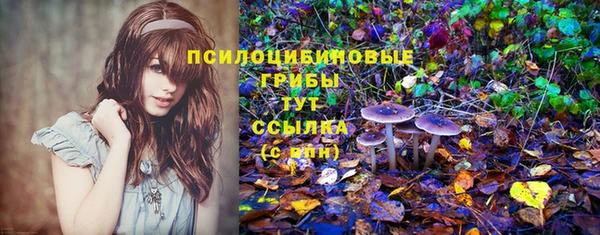 прущие крисы Богородск