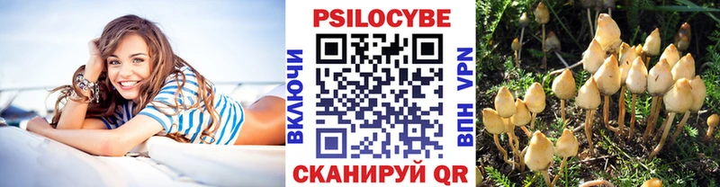 купить наркоту  мега вход  Галлюциногенные грибы Cubensis  Княгинино 